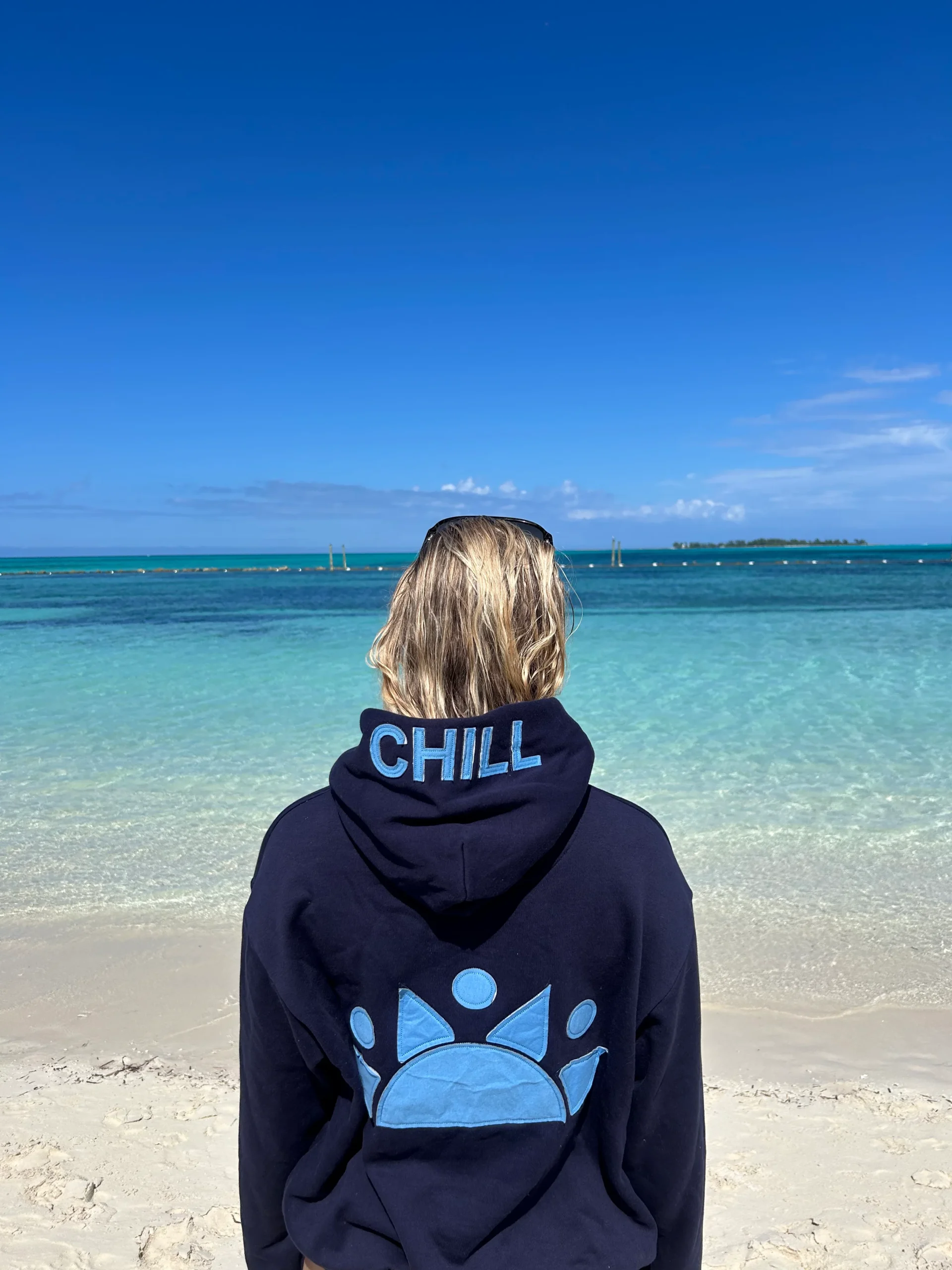 clothing hoodie