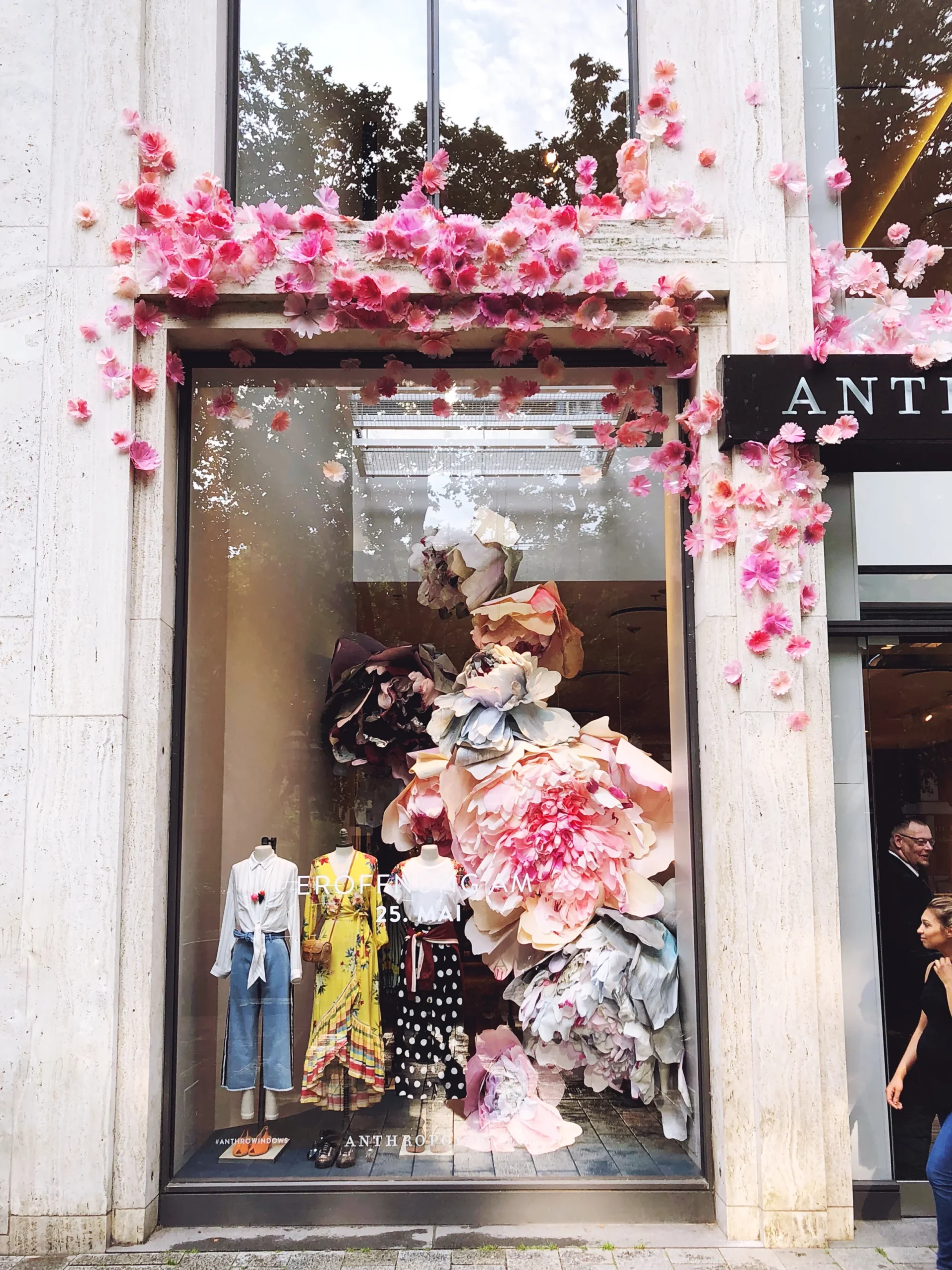 Anthropologie